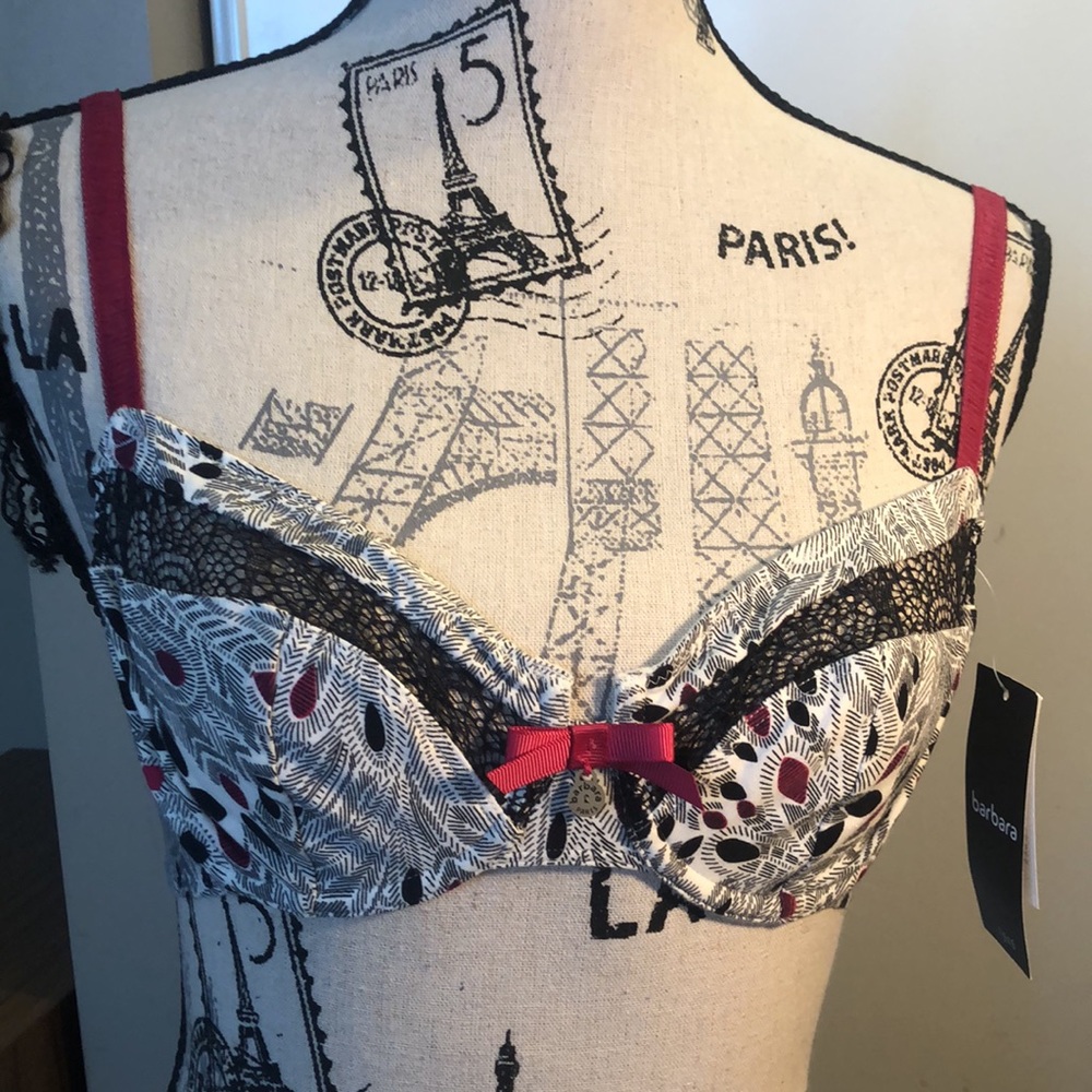 Barbara Lingerie Petite Plume Underwire-226511B